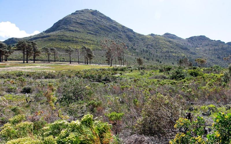 0 Bedroom Property for Sale in Noordhoek Western Cape